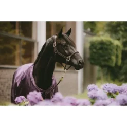 Kentucky Horsewear Kentucky Turnout All Weather 160g Paars -Kentucky Horsewear Winkel kentucky bw4a5217 wiederhergestelltkopie.8f2423