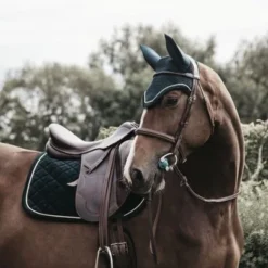 Kentucky Horsewear Kentucky Dressuur Zadeldekje Corduroy Pine Green Full -Kentucky Horsewear Winkel kentucky dressuur zadeldekje corduroy pg 2.df76bc