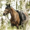 Kentucky Horsewear Kentucky Dressuur Zadeldekje Pearls Black Full