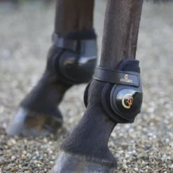 Kentucky Horsewear Kentucky Kogelbeschermers Black Full