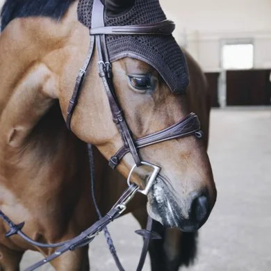 Kentucky Horsewear Kentucky Oornet Wellington Leather Soundless Bruin Full 2 Kentucky Horsewear Kentucky Oornet Wellington Leather Soundless Bruin Full - Afbeelding 2