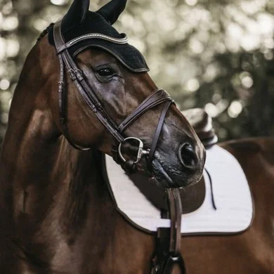 Kentucky Horsewear Kentucky Oornet Wellington Leder Black Full 1 Kentucky Horsewear Kentucky Oornet Wellington Leder Black Full
