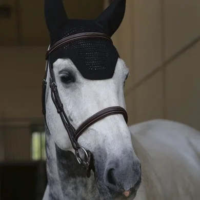 Kentucky Horsewear Kentucky Oornet Wellington Soundless Black 1 Kentucky Horsewear Kentucky Oornet Wellington Soundless Black