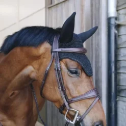 Kentucky Horsewear Kentucky Oornet Wellington Sparkling Soundless Black Full 6 Kentucky Horsewear Kentucky Oornet Wellington Sparkling Soundless Black Full -Kentucky Horsewear Winkel kentucky oornet wellington sparkling soundless zwart 2.c8d604