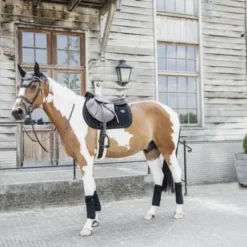 Kentucky Horsewear Kentucky Oornetje Wellington Velvet Pearls Zwart Full -Kentucky Horsewear Winkel kentucky oornetje wellington velvet pearls black 2.91764c