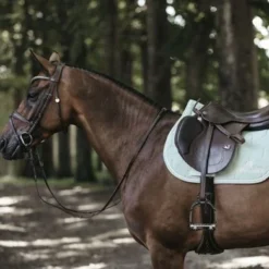 Kentucky Horsewear Kentucky Spring Zadeldekje Color Edition Mint Full -Kentucky Horsewear Winkel kentucky pring zadeldekje color edition mint 1.f05f12