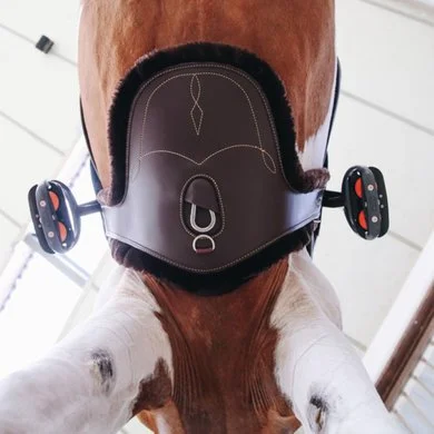 Kentucky Horsewear Kentucky Singelhoes Sheepskin Stud Brown 2 Kentucky Horsewear Kentucky Singelhoes Sheepskin Stud Brown - Afbeelding 2