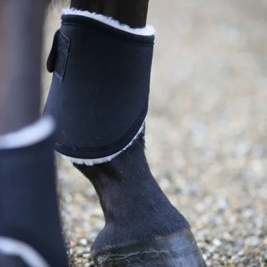 Kentucky Horsewear Kentucky Strijklappen Solimbra Achterbenen Kort Black Full 1 Kentucky Horsewear Kentucky Strijklappen Solimbra Achterbenen Kort Black Full