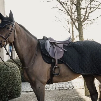 Kentucky Horsewear Kentucky Uitrijdeken 160g Zwart 1 Kentucky Horsewear Kentucky Uitrijdeken 160g Zwart