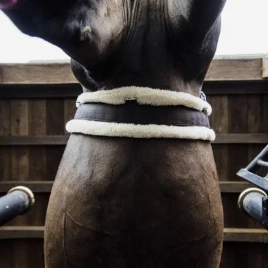 Kentucky Horsewear Kentucky Veelzijdigheidssingel Sheepskin Bruin/Naturel 2 Kentucky Horsewear Kentucky Veelzijdigheidssingel Sheepskin Bruin/Naturel - Afbeelding 2