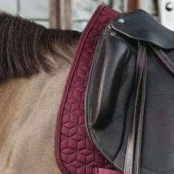 Kentucky Horsewear Kentucky Zadeldekje Basic Dressuur Bordeaux Full 6 Kentucky Horsewear Kentucky Zadeldekje Basic Dressuur Bordeaux Full -Kentucky Horsewear Winkel kentucky zadeldekje basic dressuur bordeaux 2.63c90e