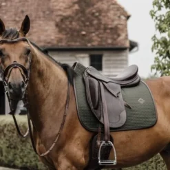 Kentucky Horsewear Kentucky Zadeldekje Color Edition Leather Dr Olijf Full 8 Kentucky Horsewear Kentucky Zadeldekje Color Edition Leather Dr Olijf Full -Kentucky Horsewear Winkel kentucky zadeldekje color edition leather dr olijf 2.763a95