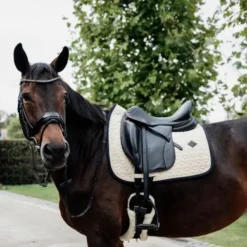 Kentucky Horsewear Kentucky Zadeldekje Softshell Dressuur Beige Full 7 Kentucky Horsewear Kentucky Zadeldekje Softshell Dressuur Beige Full -Kentucky Horsewear Winkel kentucky zadeldekje softshell dressuur beige 2.4441c2