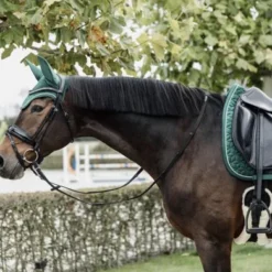 Kentucky Horsewear Kentucky Zadeldekje Velvet Dressuur Donkergroen Full 8 Kentucky Horsewear Kentucky Zadeldekje Velvet Dressuur Donkergroen Full -Kentucky Horsewear Winkel kentucky zadeldekje velvet dressuur donkergroen 2.4ddedf