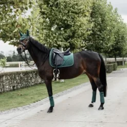 Kentucky Horsewear Kentucky Zadeldekje Velvet Dressuur Donkergroen Full 10 Kentucky Horsewear Kentucky Zadeldekje Velvet Dressuur Donkergroen Full -Kentucky Horsewear Winkel kentucky zadeldekje velvet dressuur donkergroen 3.1084ba