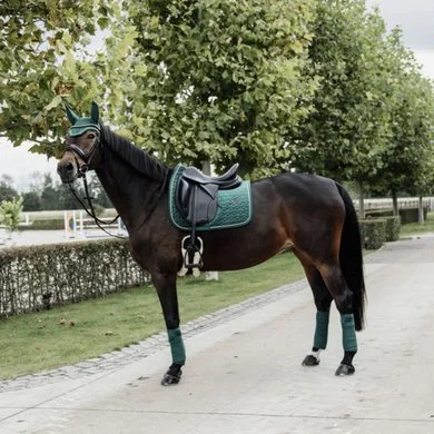 Kentucky Horsewear Kentucky Zadeldekje Velvet Dressuur Donkergroen Full 5 Kentucky Horsewear Kentucky Zadeldekje Velvet Dressuur Donkergroen Full - Afbeelding 5