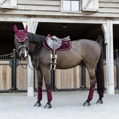 Kentucky Horsewear Kentucky Zadeldekje Velvet Springen Bordeaux Full 5 Kentucky Horsewear Kentucky Zadeldekje Velvet Springen Bordeaux Full - Afbeelding 5