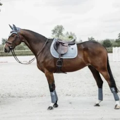 Kentucky Horsewear Kentucky Zadeldekje Velvet Springen Light Blue Full 10 Kentucky Horsewear Kentucky Zadeldekje Velvet Springen Light Blue Full -Kentucky Horsewear Winkel kentucky zadeldekje velvet springen light blue 3.878015