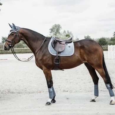 Kentucky Horsewear Kentucky Zadeldekje Velvet Springen Light Blue Full 5 Kentucky Horsewear Kentucky Zadeldekje Velvet Springen Light Blue Full - Afbeelding 5