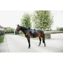Kentucky Horsewear Kentucky Zadeldekje Skin Friendly Dressuur Zwart Full -Kentucky Horsewear Winkel kentuckyhorsewear 42468 01 dr 2.12baf8