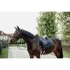 Kentucky Horsewear Kentucky Zadeldekje Skin Friendly Dressuur Navy Full