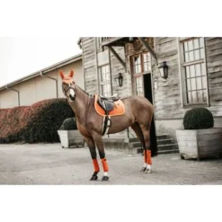 Kentucky Horsewear Kentucky Zadeldekje Velvet Springen Oranje Full 11 Kentucky Horsewear Kentucky Zadeldekje Velvet Springen Oranje Full -Kentucky Horsewear Winkel kh 42579 45 4.c4057b