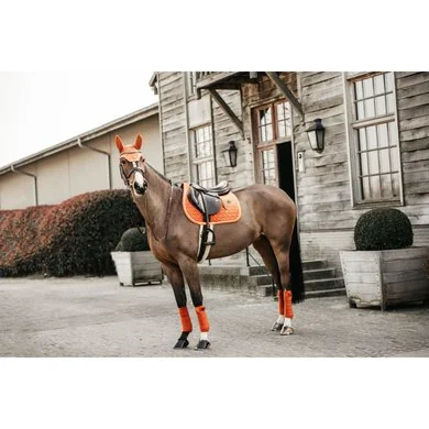 Kentucky Horsewear Kentucky Zadeldekje Velvet Springen Oranje Full 6 Kentucky Horsewear Kentucky Zadeldekje Velvet Springen Oranje Full - Afbeelding 6