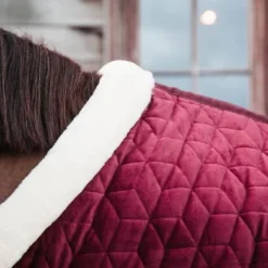 Kentucky Horsewear Kentucky Showdeken Velvet 160g Bordeaux 9 Kentucky Horsewear Kentucky Showdeken Velvet 160g Bordeaux -Kentucky Horsewear Winkel kh 485a0019.049fe1