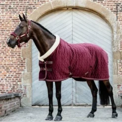 Kentucky Horsewear Kentucky Showdeken Velvet 160g Bordeaux