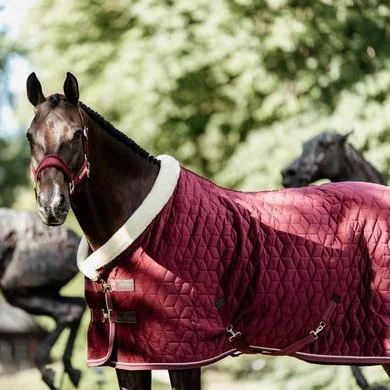 Kentucky Horsewear Kentucky Showdeken Velvet 160g Bordeaux 2 Kentucky Horsewear Kentucky Showdeken Velvet 160g Bordeaux - Afbeelding 2