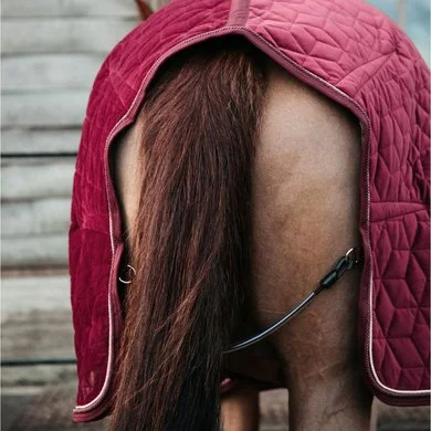 Kentucky Horsewear Kentucky Showdeken Velvet 160g Bordeaux 5 Kentucky Horsewear Kentucky Showdeken Velvet 160g Bordeaux - Afbeelding 5