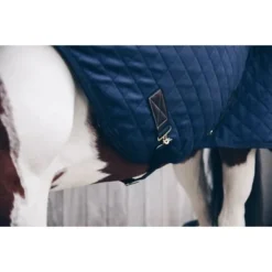 Kentucky Horsewear Kentucky Stapmolen Deken 160g Navy 14 Kentucky Horsewear Kentucky Stapmolen Deken 160g Navy -Kentucky Horsewear Winkel productkentucky 52105 3 2.b7529d
